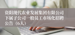 资阳现代农业发展集团有限公司下属子公司一般员工市场化招聘公告（6人）