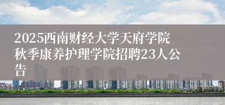 2025西南财经大学天府学院秋季康养护理学院招聘23人公告