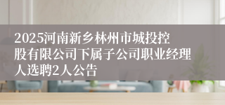 2025河南新乡林州市城投控股有限公司下属子公司职业经理人选聘2人公告
