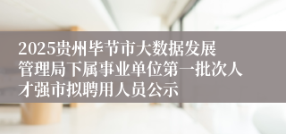 2025贵州毕节市大数据发展管理局下属事业单位第一批次人才强市拟聘用人员公示
