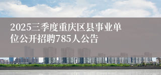 2025三季度重庆区县事业单位公开招聘785人公告