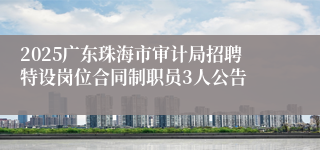 2025广东珠海市审计局招聘特设岗位合同制职员3人公告