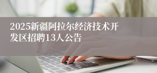 2025新疆阿拉尔经济技术开发区招聘13人公告