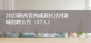 2025陕西省西咸新区泾河新城招聘公告（57人）