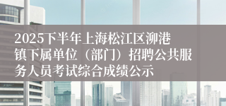 2025下半年上海松江区泖港镇下属单位（部门）招聘公共服务人员考试综合成绩公示