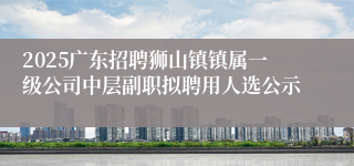 2025广东招聘狮山镇镇属一级公司中层副职拟聘用人选公示