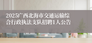 2025广西北海市交通运输综合行政执法支队招聘1人公告