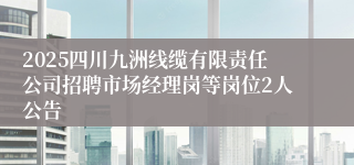 2025四川九洲线缆有限责任公司招聘市场经理岗等岗位2人公告
