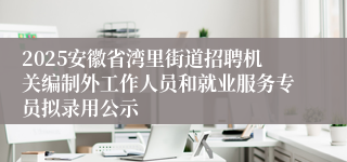 2025安徽省湾里街道招聘机关编制外工作人员和就业服务专员拟录用公示