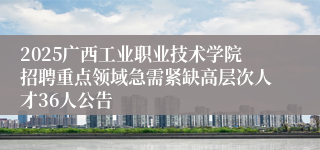 2025广西工业职业技术学院招聘重点领域急需紧缺高层次人才36人公告