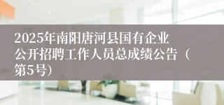 2025年南阳唐河县国有企业公开招聘工作人员总成绩公告（第5号）