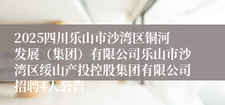 2025四川乐山市沙湾区铜河发展（集团）有限公司乐山市沙湾区绥山产投控股集团有限公司招聘4人公告