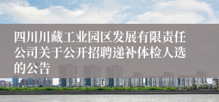 四川川藏工业园区发展有限责任公司关于公开招聘递补体检人选的公告