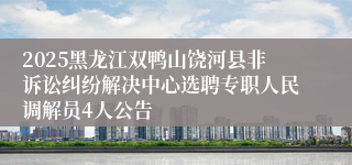 2025黑龙江双鸭山饶河县非诉讼纠纷解决中心选聘专职人民调解员4人公告