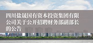 四川盐晟国有资本投资集团有限公司关于公开招聘财务部副部长的公告