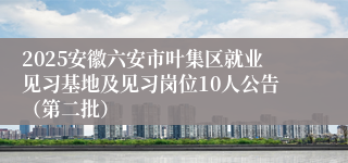 2025安徽六安市叶集区就业见习基地及见习岗位10人公告（第二批）