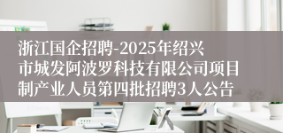 浙江国企招聘-2025年绍兴市城发阿波罗科技有限公司项目制产业人员第四批招聘3人公告