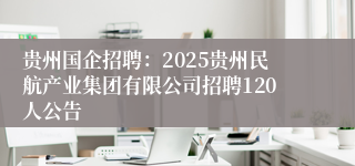 贵州国企招聘：2025贵州民航产业集团有限公司招聘120人公告