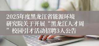 2025年度黑龙江省能源环境研究院关于开展“黑龙江人才周”校园引才活动招聘3人公告