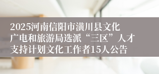 2025河南信阳市潢川县文化广电和旅游局选派“三区”人才支持计划文化工作者15人公告
