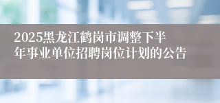2025黑龙江鹤岗市调整下半年事业单位招聘岗位计划的公告