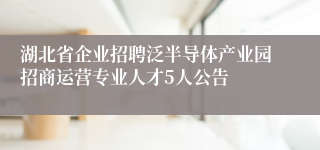 湖北省企业招聘泛半导体产业园招商运营专业人才5人公告