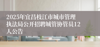 2025年宜昌枝江市城市管理执法局公开招聘城管协管员12人公告