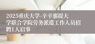 2025重庆大学-辛辛那提大学联合学院劳务派遣工作人员招聘1人启事