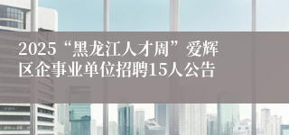 2025“黑龙江人才周”爱辉区企事业单位招聘15人公告