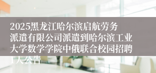 2025黑龙江哈尔滨启航劳务派遣有限公司派遣到哈尔滨工业大学数学学院中俄联合校园招聘1人公告
