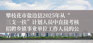 攀枝花市盐边县2025年从“三支一扶”计划人员中直接考核招聘乡镇事业单位工作人员的公告（4人）