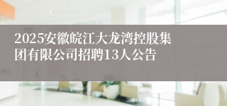 2025安徽皖江大龙湾控股集团有限公司招聘13人公告