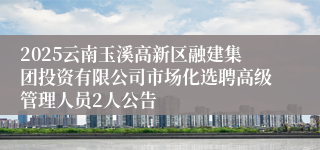 2025云南玉溪高新区融建集团投资有限公司市场化选聘高级管理人员2人公告
