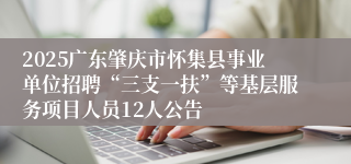 2025广东肇庆市怀集县事业单位招聘“三支一扶”等基层服务项目人员12人公告