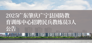 2025广东肇庆广宁县国防教育训练中心招聘民兵教练员3人公告