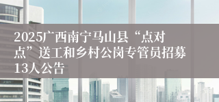 2025广西南宁马山县“点对点”送工和乡村公岗专管员招募13人公告