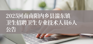2025河南南阳内乡县湍东镇卫生招聘卫生专业技术人员6人公告