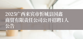 2025广西来宾市忻城县国鑫商贸有限责任公司公开招聘1人公告