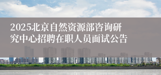 2025北京自然资源部咨询研究中心招聘在职人员面试公告