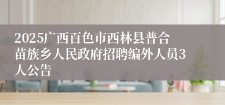 2025广西百色市西林县普合苗族乡人民政府招聘编外人员3人公告