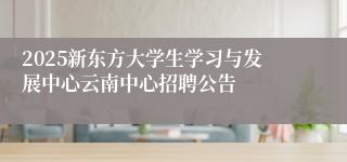 2025新东方大学生学习与发展中心云南中心招聘公告