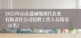 2025年山东盐碱地现代农业有限责任公司招聘工作人员简章（6名）
