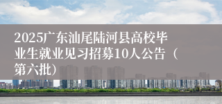 2025广东汕尾陆河县高校毕业生就业见习招募10人公告（第六批）