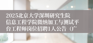 2025北京大学深圳研究生院信息工程学院微纳加工与测试平台工程师岗位招聘1人公告（广东）