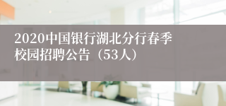 2020中国银行湖北分行春季校园招聘公告（53人）