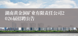 湖南黄金洞矿业有限责任公司2026届招聘公告