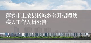 萍乡市上栗县杨岐乡公开招聘残疾人工作人员公告