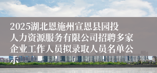 2025湖北恩施州宣恩县园投人力资源服务有限公司招聘多家企业工作人员拟录取人员名单公示