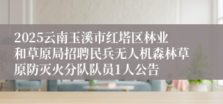 2025云南玉溪市红塔区林业和草原局招聘民兵无人机森林草原防灭火分队队员1人公告