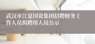 武汉市江夏国资集团招聘财务工作人员拟聘用人员公示
